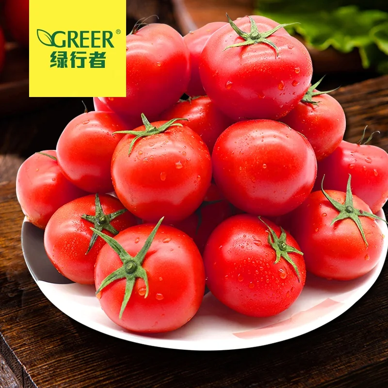 
Fresh Cheap Red Tomatoes from Greenhouse 