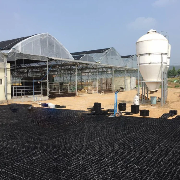 Конский стеллаж, подъездная дорожка, стабилизация заземления, пластиковая сетка, гравий, укладчик травы