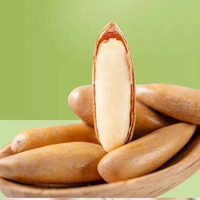 Seeds Raw Cedar Roasted Kernels Pine Nut Without Shell Pine Nuts Dried Fruit Red Pine Nuts