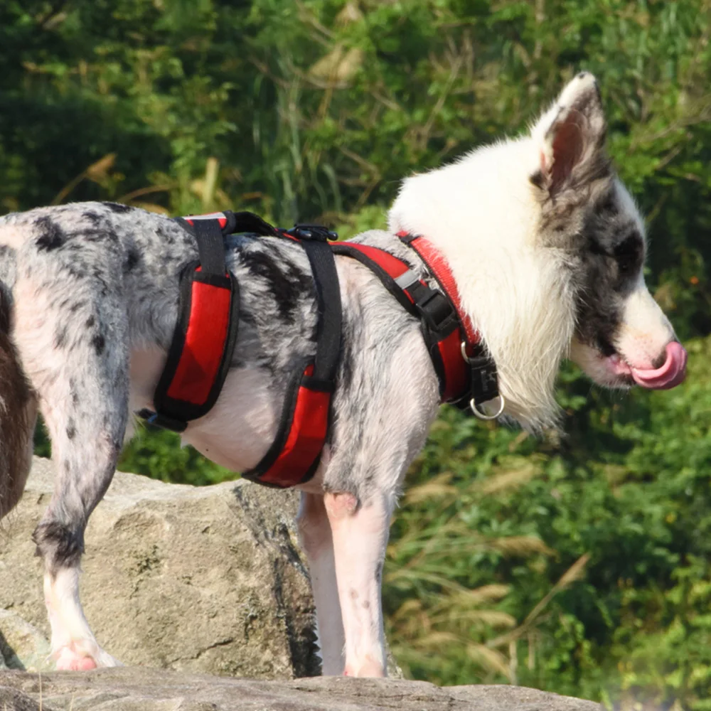 
My Pet Outdoor Dog Knapsack Dog Travel Hiking Camping 