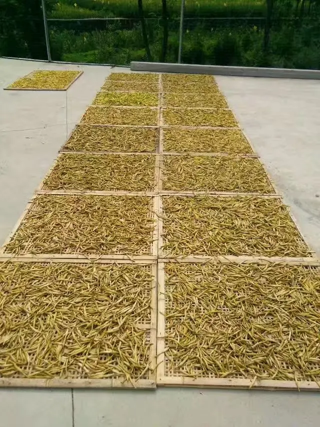 Heating industrial drying and curing machine Flower Jewelweed dehydrator