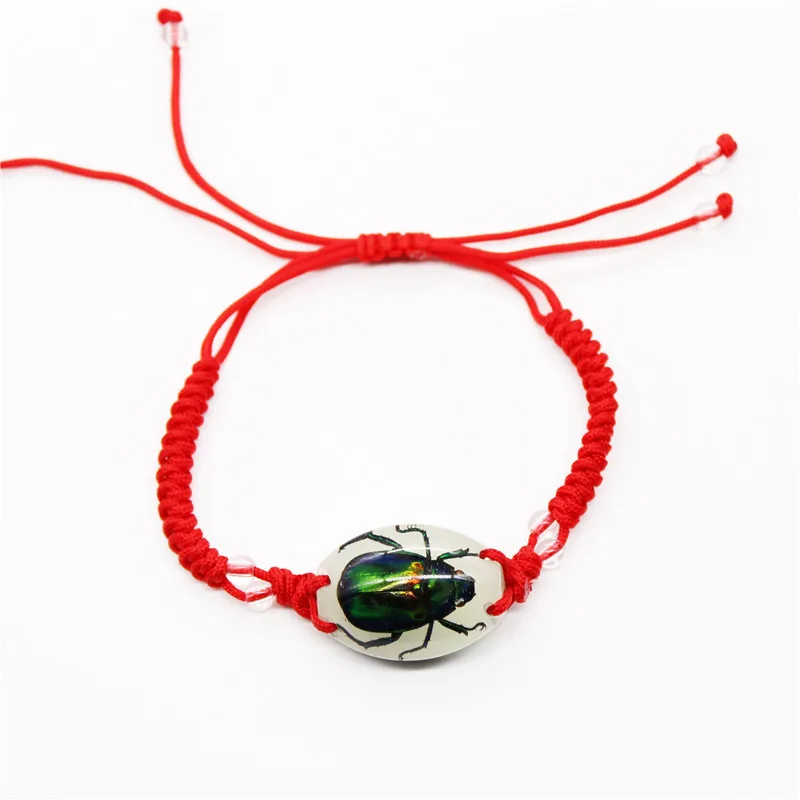 New Creative Insect Amber Knitted Bracelet Real Insect Scorpion Bracelet Insect Specimens Bracelet For Men