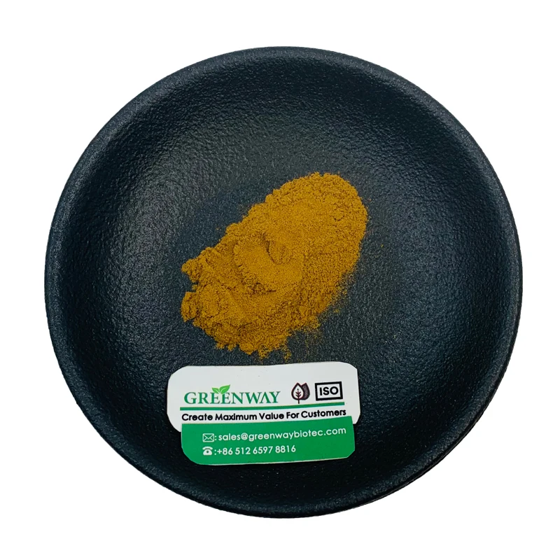 Competitive Price Hydrastis Canadensis Extract Golden Seal Root Extract Powder