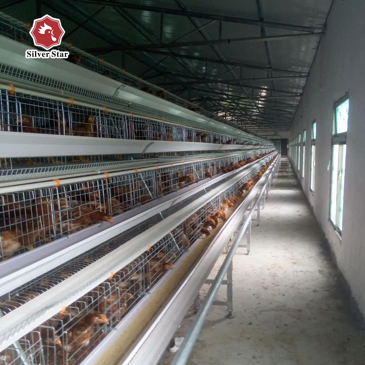 Semi Automatic Chicken Raising Equipment Layer Hens Cage System For Poultry Farm