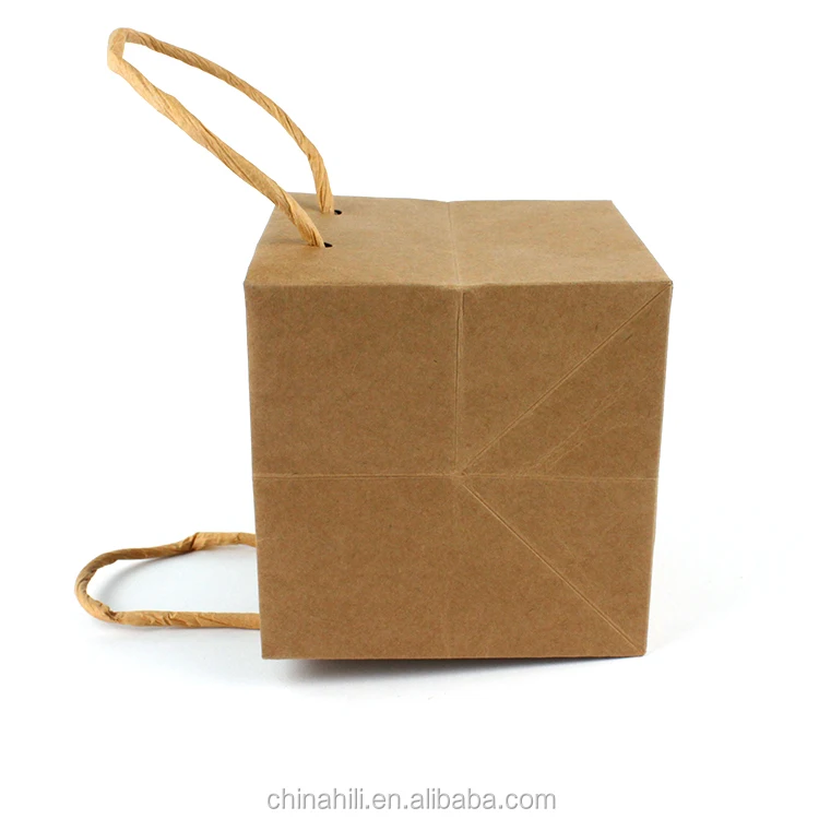 Custom printed waterproof plant pot brown kraft paper box with plastic liner bag
