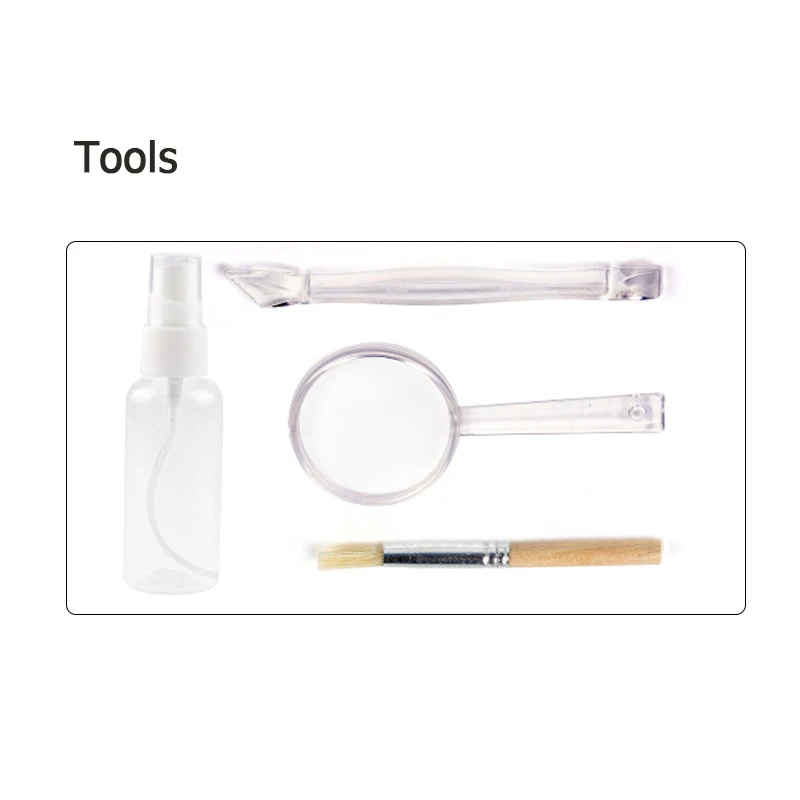 QS Popular STEM Science DIY Archaeology Excavation T-rex Animal Dinosaur Fossil Archaeological Digging Kit Toys For Kids 8-10