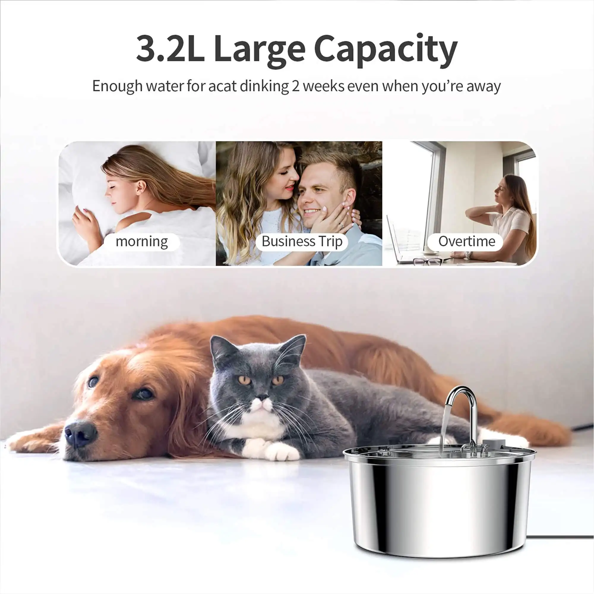 Petwant OEM ODM 3.2L/108Oz Stainless Steel Automatic Pet Cat Dog Drinking Water Fountain Bowls With Replacement Filters