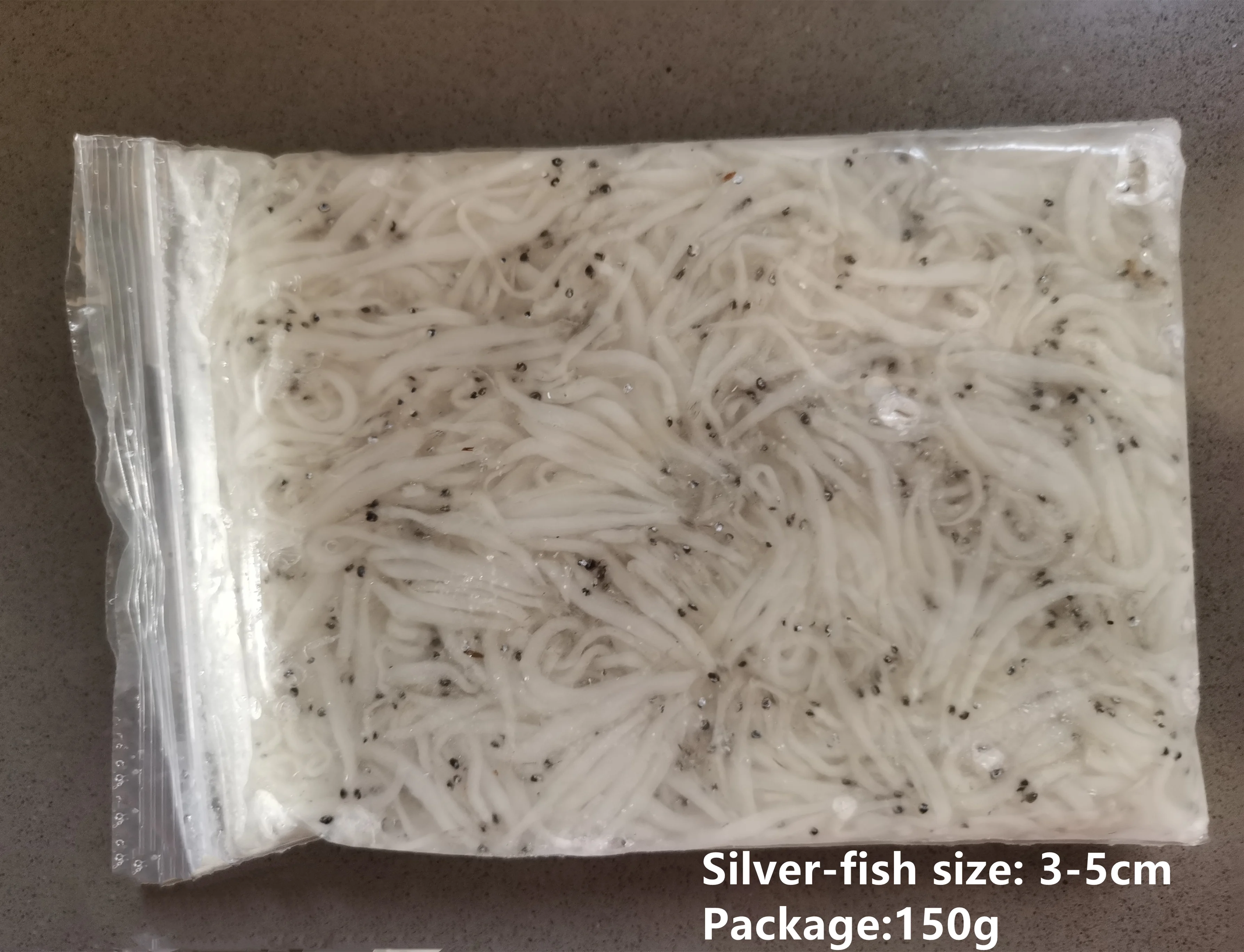 wholesale Frozen silver-fish export Japan, America (703)