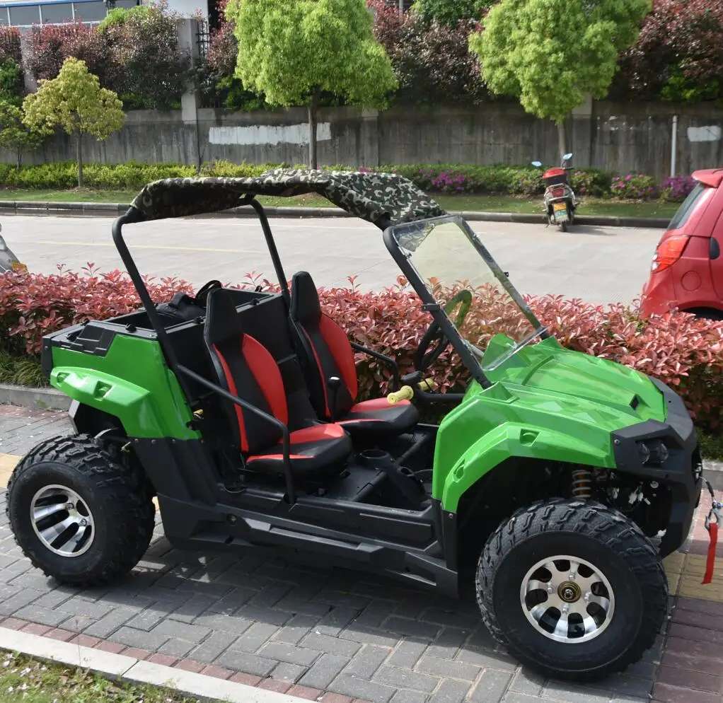 Chinese Good Quality 60V/72V 1800W 2200W Electric Mini Buggy UTV Utv Side By Sides UTV