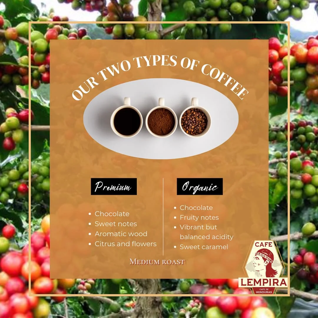 DISCOUNT SALE Honduran Coffee Organic Ready To Ship 12Oz Medium Roast Ground Coffee Powder Private Label Wholesale in Smooth Taste in top Quality