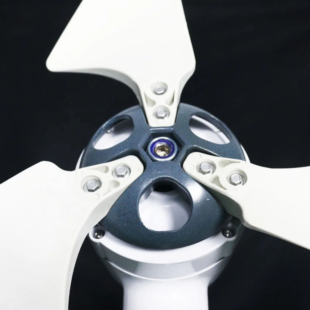 Free Clean Energy 12V/24V/48V 1000W Horizontal Axis Wind Turbine Generator with Factory Direct Sale Price