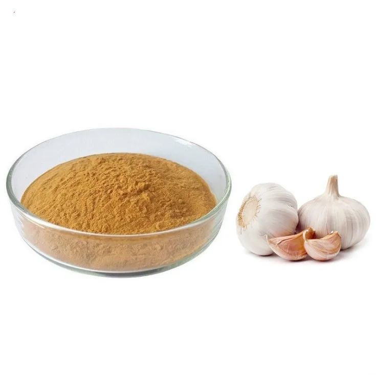 100% Natural Chinese Plant Garlic Herbal Extract Powder