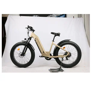 Emtb Retro Electric Hybrid Bike 750w E-Bike Road Dirt E Bike 48V Step Through Ebike Mountain  Off-road Fat Tire 1000w Ebike