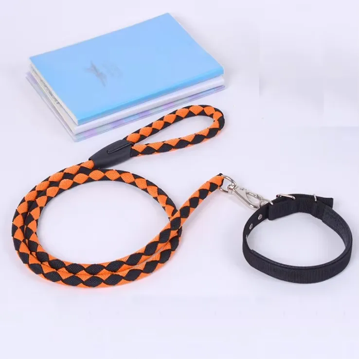China new arrivals premium modern plain blue mini dog training running braided climbing short round rope strap tape collar leash