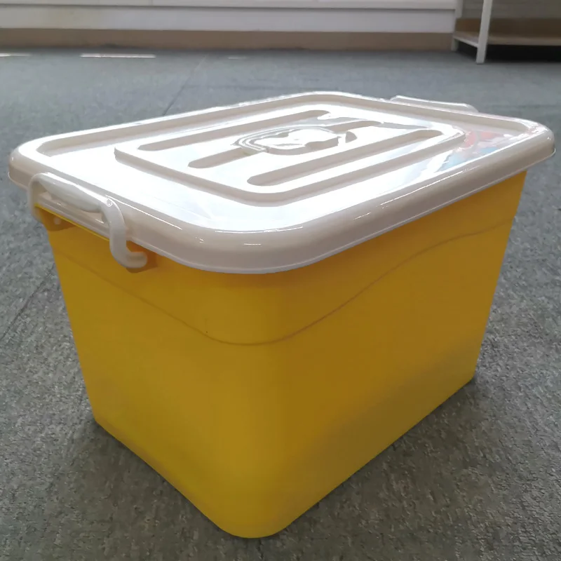 Custom Color Logo Camping Car Portable Storage Container Multifunction Household Toy Plastic Storage Box