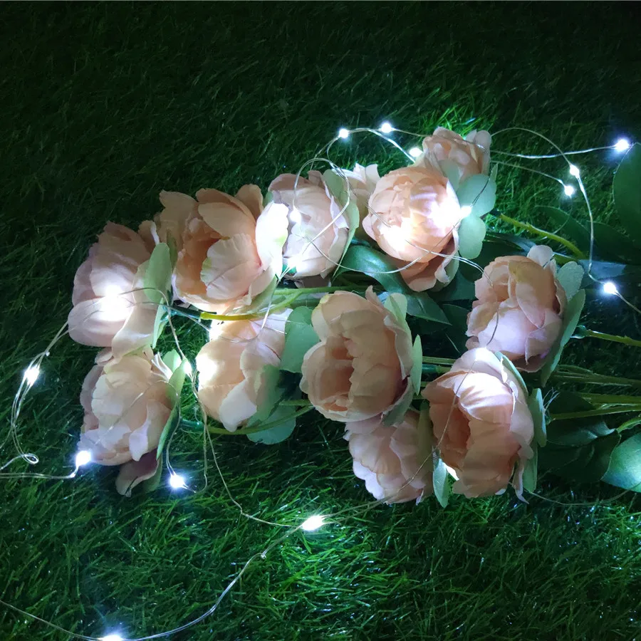 Wedding party Christmas lights decoration 2M20LED warm white fairy light string