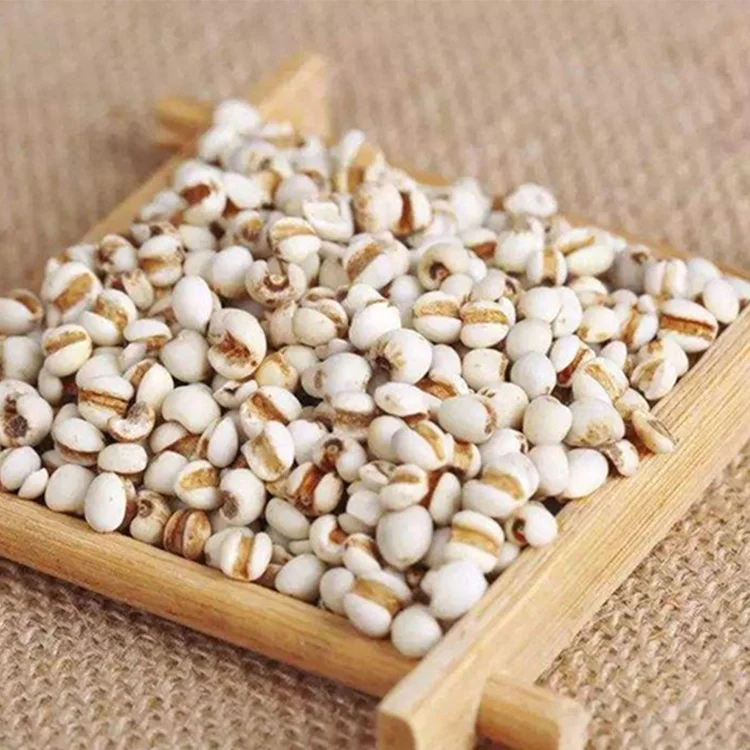 
Wholesale food grade low price organic coix seed 