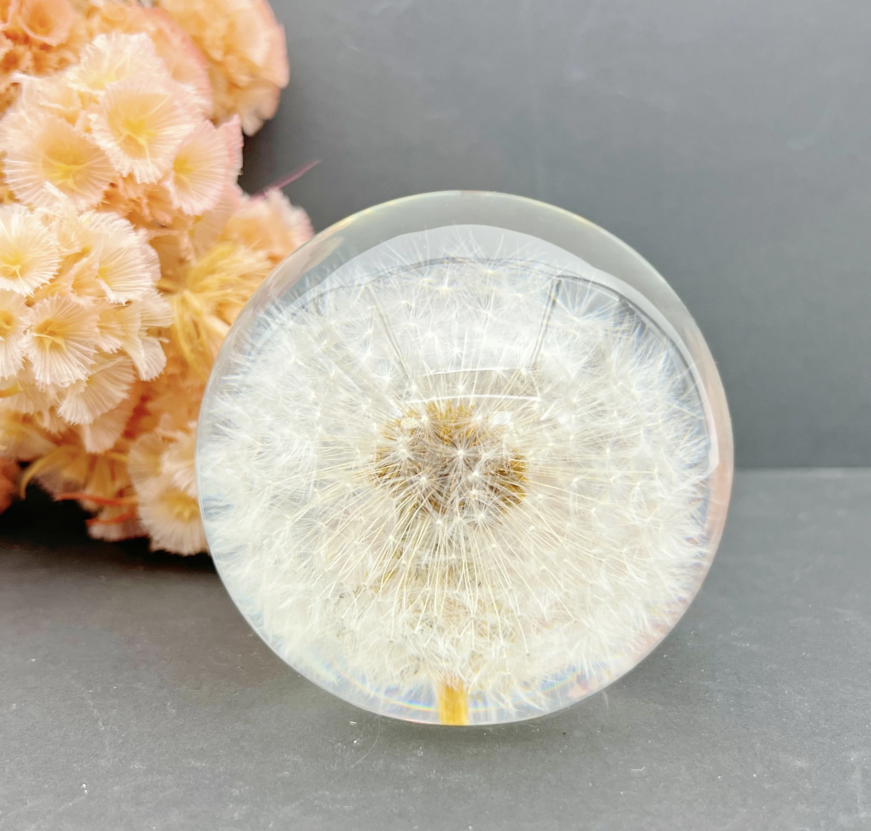 Unique Novelty Gift White Dandelion Paperweight Hand made Resin Globe Floral Crafts Valentine Festival Gift