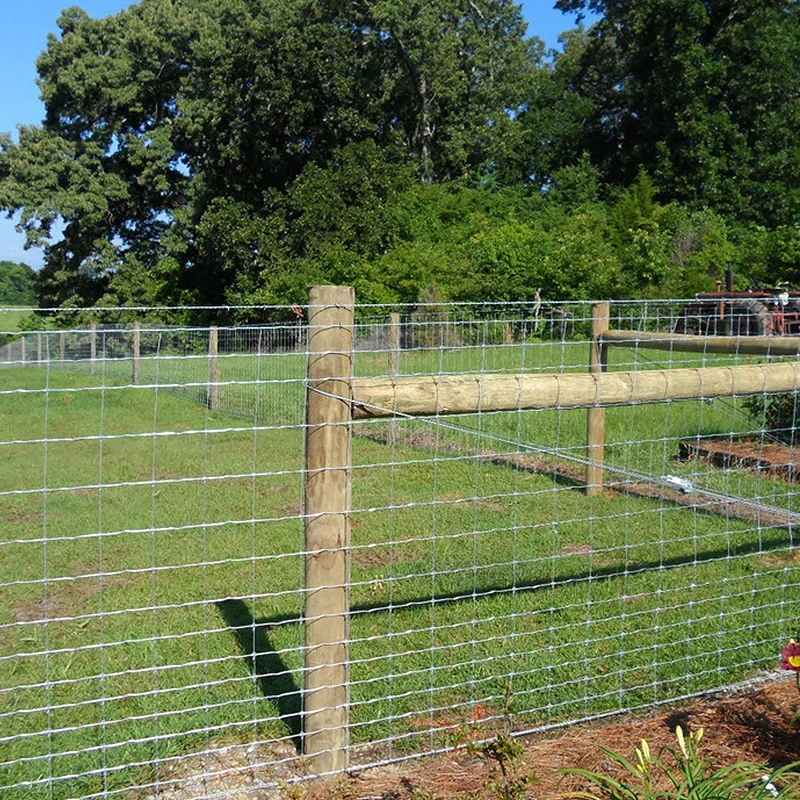China Factory Customized Size 4/5/6ft wire mesh livestock goat sheep cattle fence For farm horse veldspan game fence