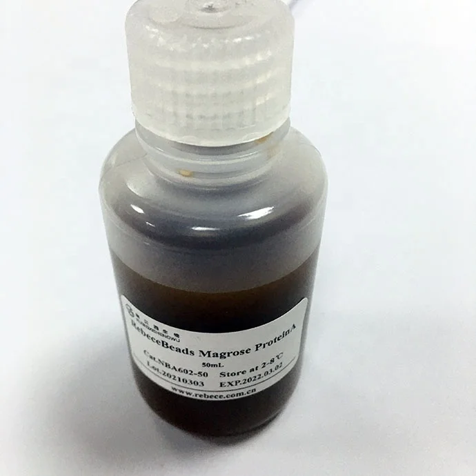  China Factory Supplied Top Quality Superparamagnetic Beads Protein A Extraction
