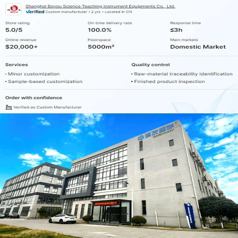 DARHMMY PVC Medical Science Practice Model Maternal and Child Health Male Condom for Training in Schools Hospitals