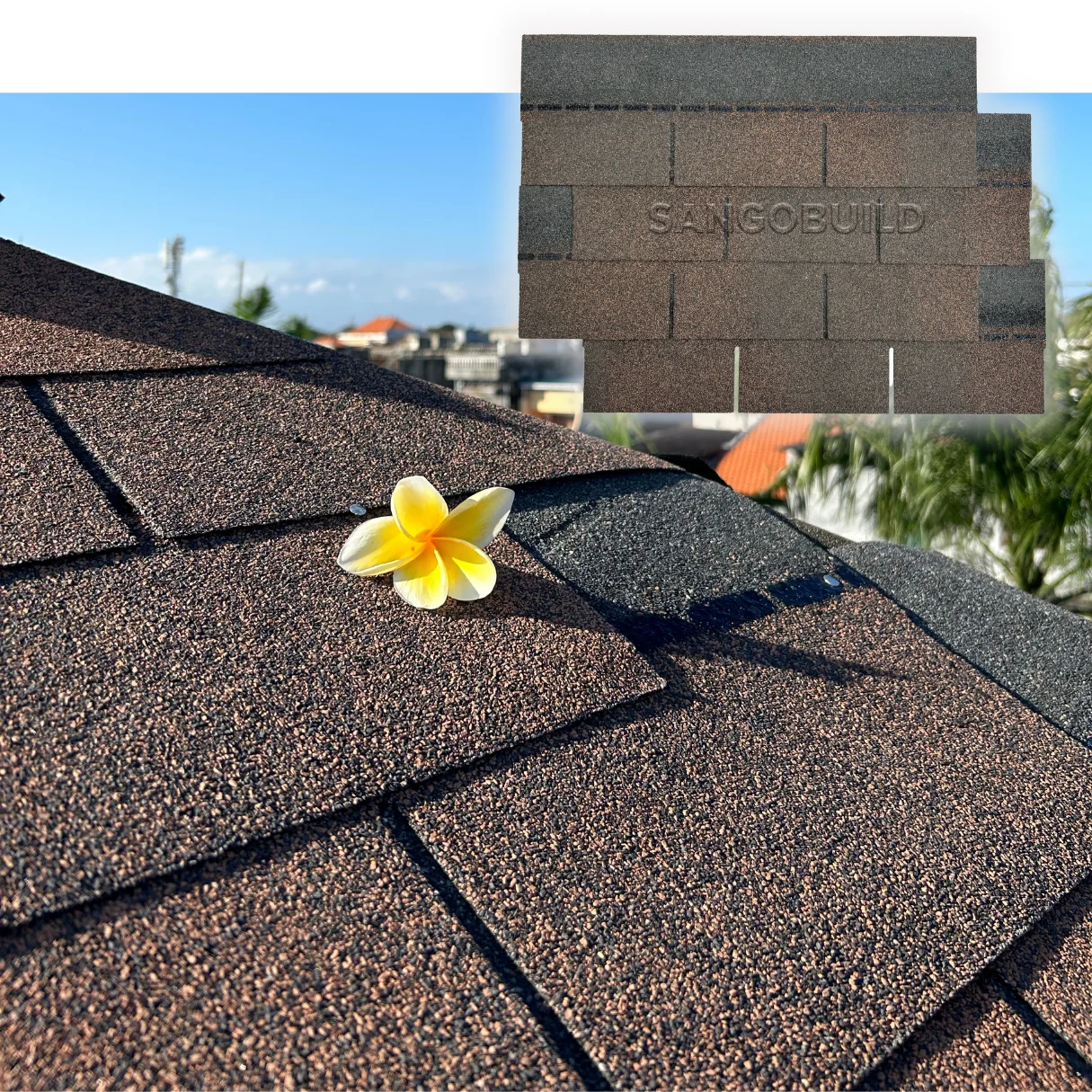 Algae Resistance Architectural Roofing Material Bitumen Asphalt Shingles Decorative 3 Tab Roof Tiles for Asia Market