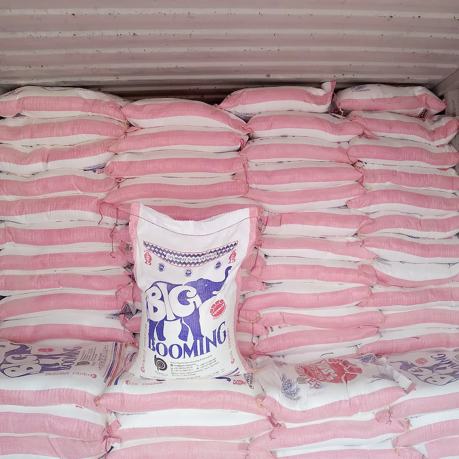 Натуральный Порошок пшеничной муки по привлекательной цене, большой мешок, большой растягивающийся бренд, 25 кг, Халяль, Кошерный, Макс, чистый