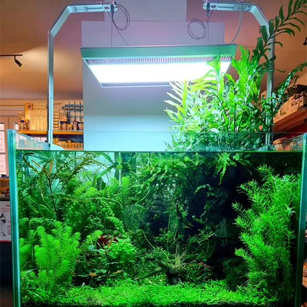 Weekaqua 120w 12000k водных aquascaping завод Подержанный Свет приложение управления полный спектр СИД аквариумный свет солнечный rbg