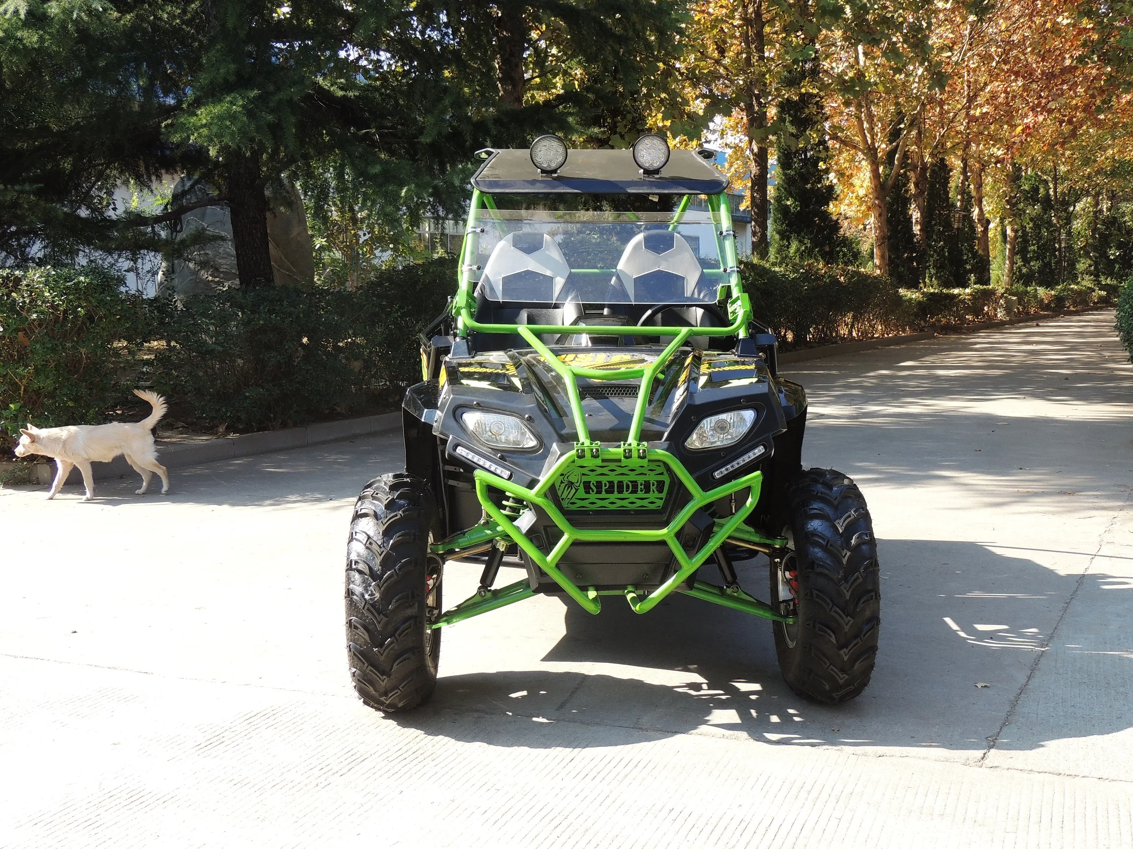 Competitive price fangpower gas powered  all terrain vehicle four wheeler  buggy utv