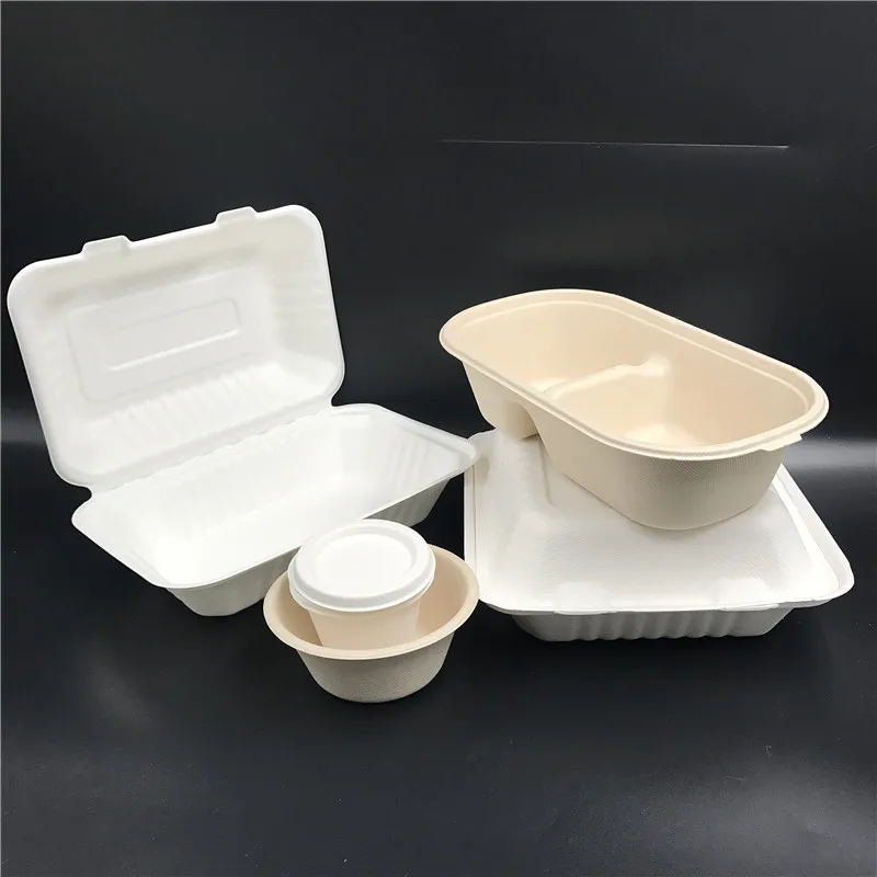 New trending 600ml biodegradable sustainable bagasse to go box disposable clamshell food packaging for sushi