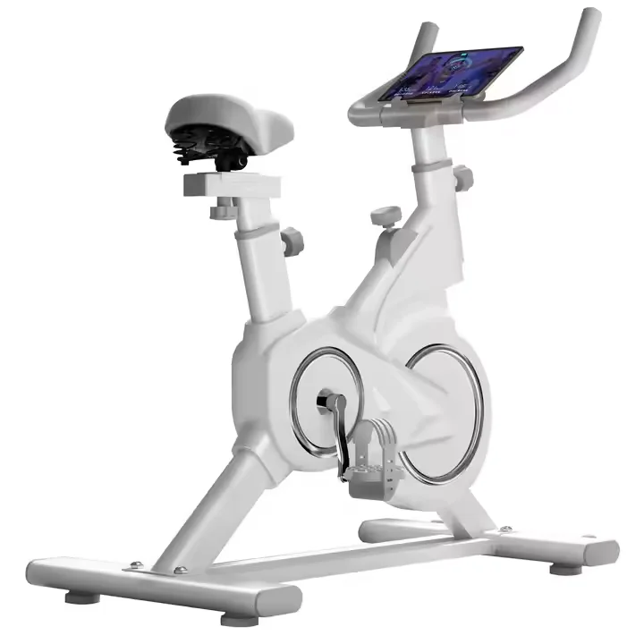 Stationary Sport Static Bicycle Silent Ergonomic Exercise 100kg Spinning Bike For Indoor Gym