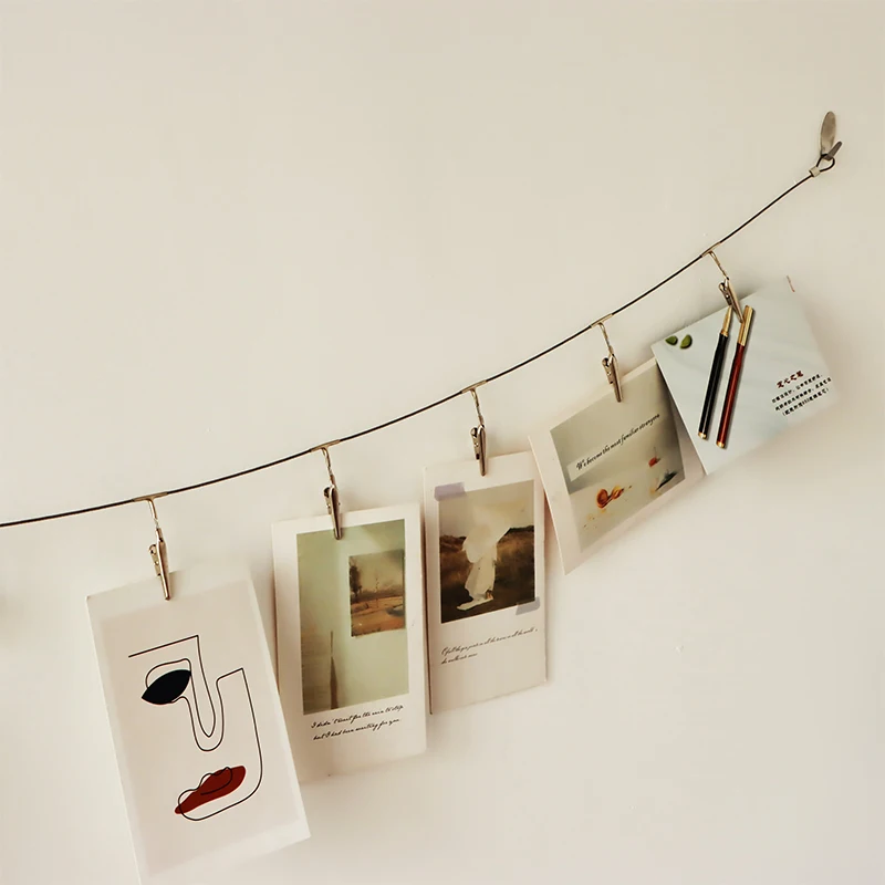Multi-Purpose Steel Wall Hanging Photo Display Cable Wire Rod with 12 Adjustable Clips for Hanging Photos Notes Postcard