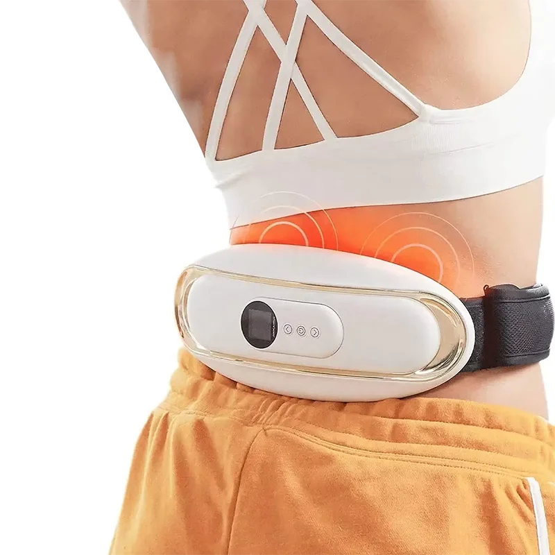 Cordless Deep Tissue TENS EMS Waist Muscle Massager Remote Control 16 Levels Infrared Electric Lower Back With Heat