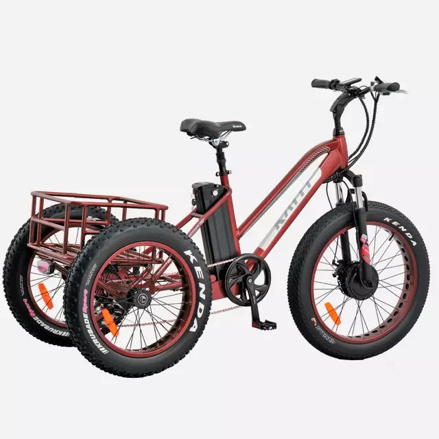 2024 new model fashion giant 3 wheel electric bicycle fat wheel bike for men 24 inch
