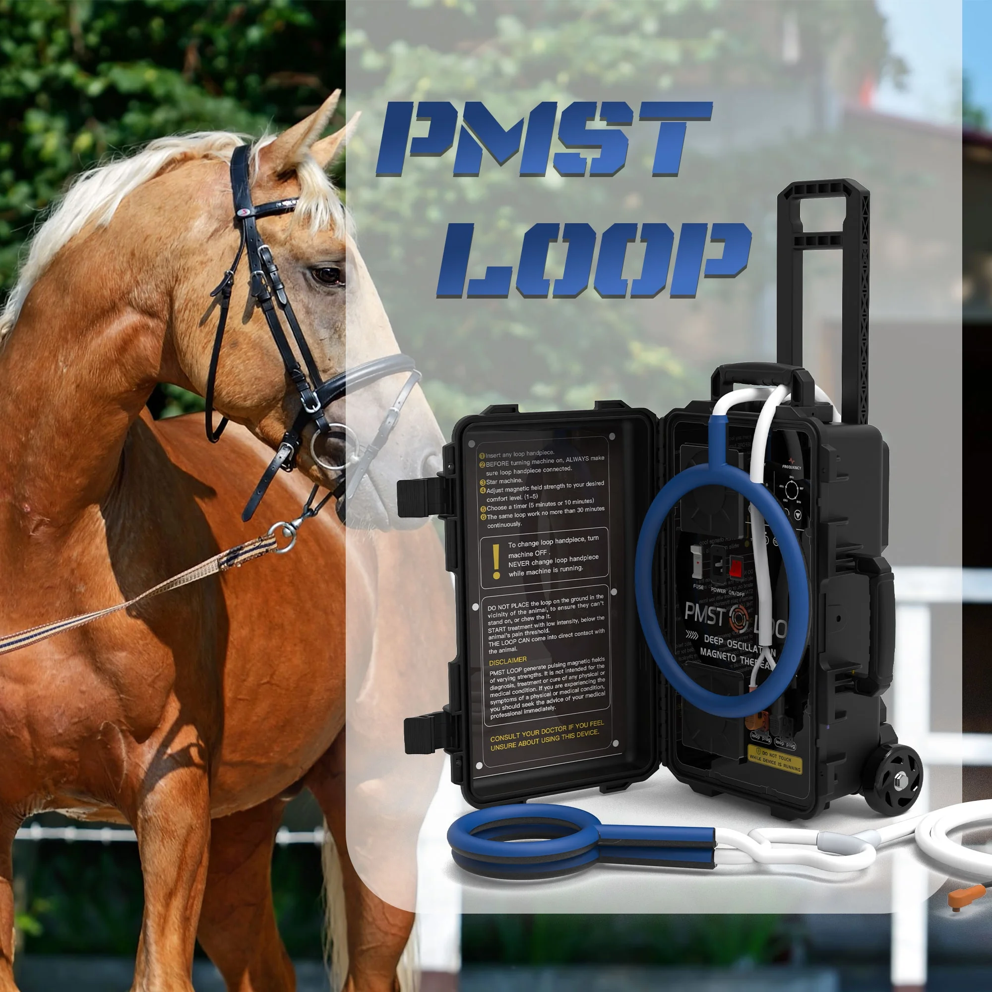 Equine PMST LOOP PEMF Electromagnetic Field Therapy Safe and Effective Treatment Reduces Pain Swelling Soreness In Horses