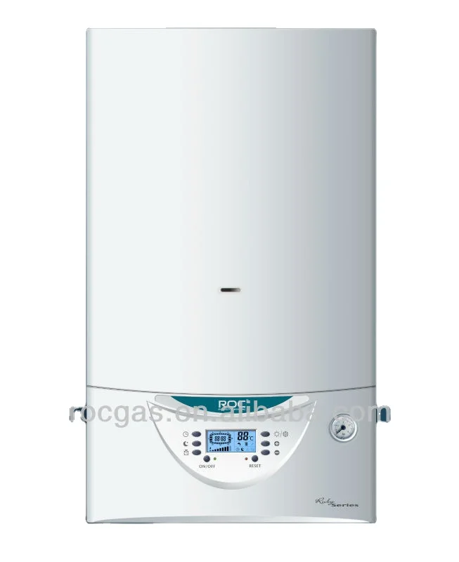 Wall hung Gas Boiler Water Heater Instant gas boiler hot  water with room heating for personal use wall gas boiler