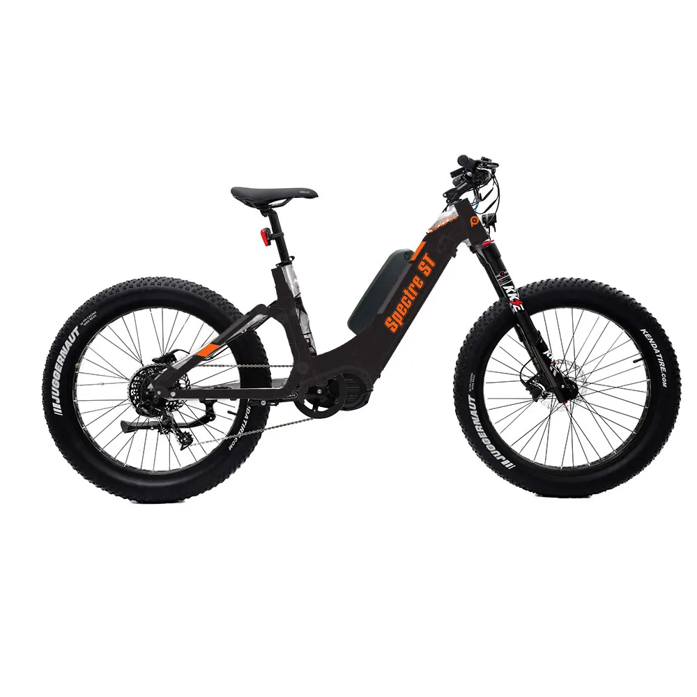  BTN 2021 48V1000W OEM модель электровелосипеда китайская фабрика G510 Средний двигатель с высоким приводом широкие шины электровелосипед датчик крутящего