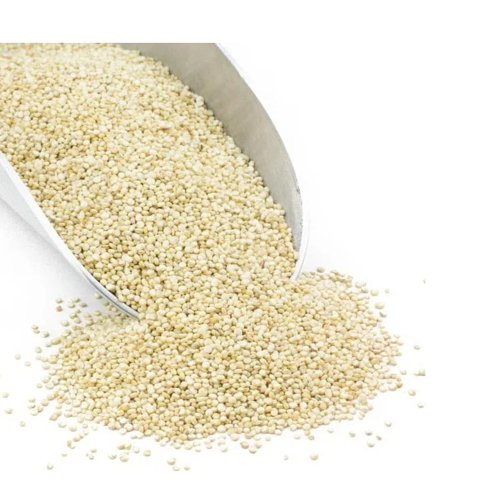 
high quality fresh conventional white quinoa for wholesale 