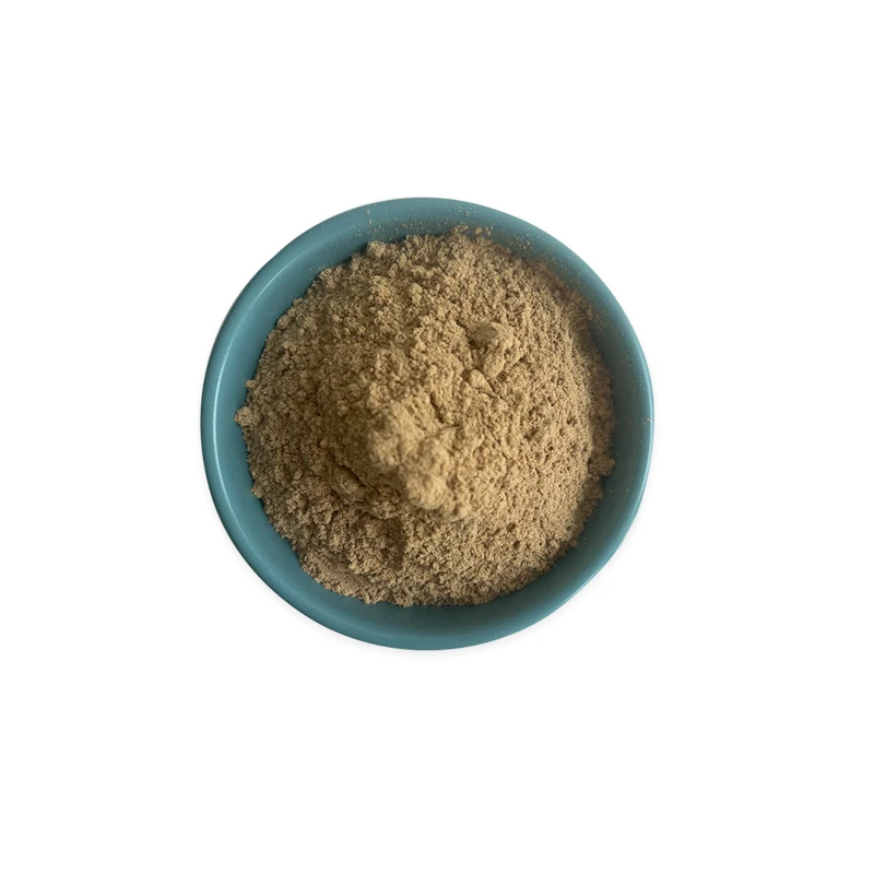 Ciyuan Bio High Quality  niu bang gen burdock root Arctium Lappa Burdock Root Extract