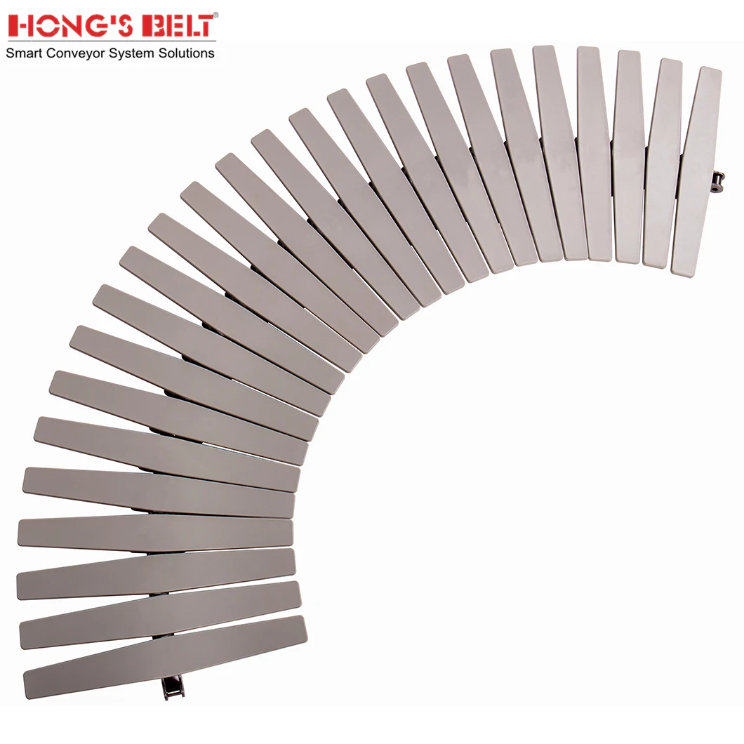 Hongsbelt 1873T-K1000 Side Flex Plastic Chain Conveyor Plastic Chain For Bottles
