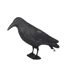 Factory Custom Low Price Life-Like PE Crow Decoy For Hunting