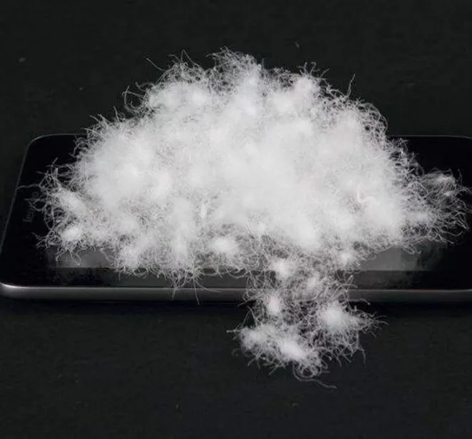 White Duck Down and White Goose Down 600/700/800/1000 Fill Power High Quality