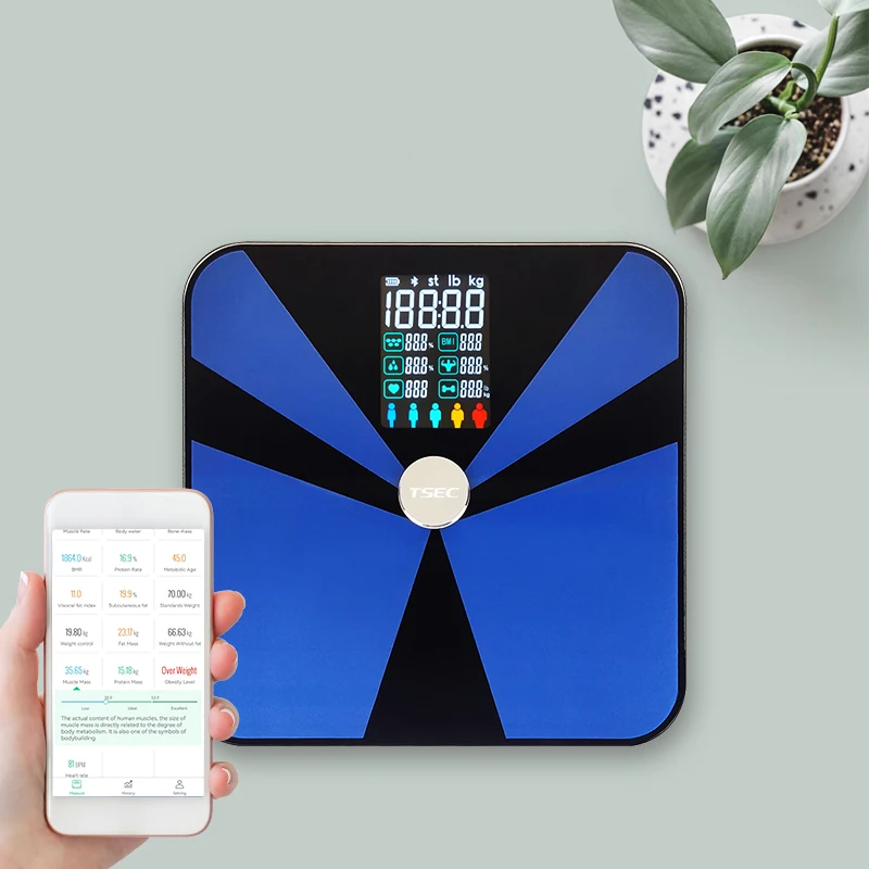 Big Display New Designed Bluetooth Digital Body Fat Analyzer BMI Heart Rate Health Care Monitor Scale Weighing Machine