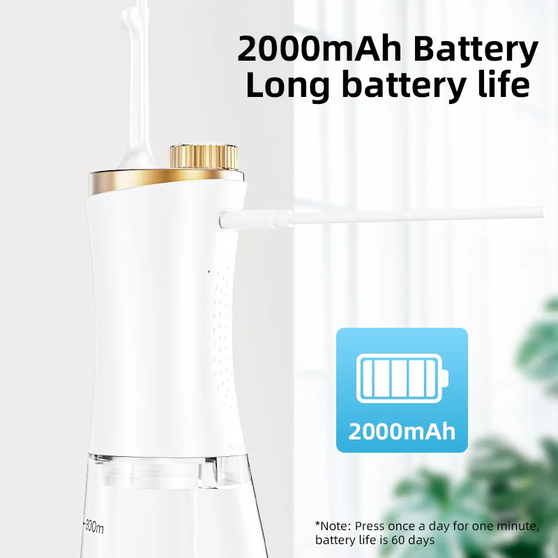 Visual Oral Irrigator Water Flosser 350ML Water Tank Type C Visual Oral Irrigator Water Flosser Smart Dental Flosser Oral Clean