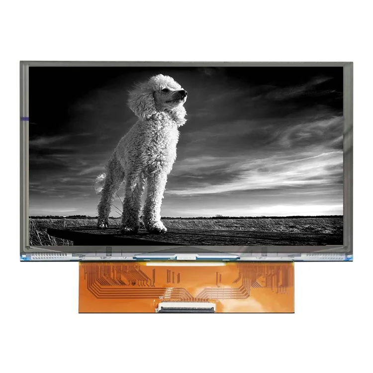 Монохромный 7 6 дюймов ЖК-дисплей 4k 4098*2560 с высоким разрешением 50 Pin Интерфейс MIPI Mono IPS Tft