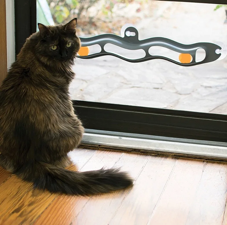 Pet track ball sucker toy window sill glass adsorption cat training claws wholesale
