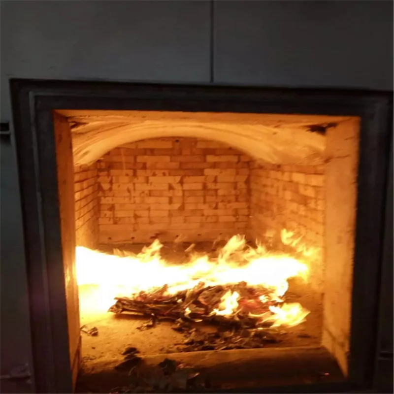 Incenerator medical waste incinerator