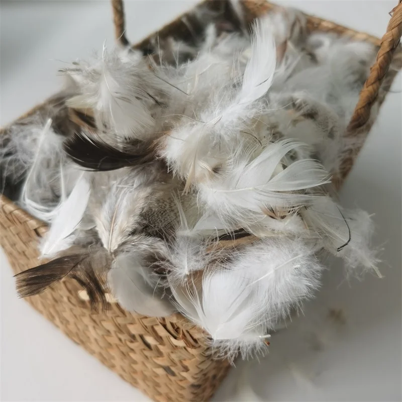 Wholesale Washed High Filling Natural Raw Goose/Duck Pure Feather Fiber Down for Pillow Duvet Use