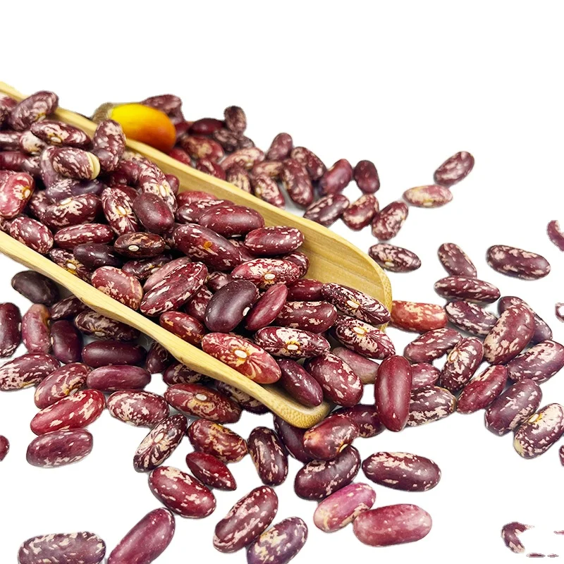 Wholesale high quality red speckled kidney bean