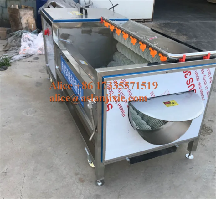 root vegetable skin peeling machine/ carrots hard brush water washing machine